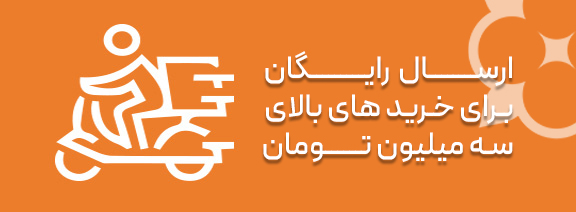 ارسال سریع